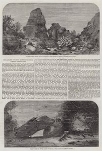 Le Vivarium Aquatique aux Jardins Zoologiques, Regent